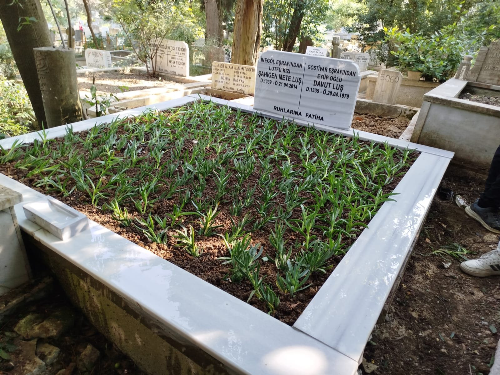 Mezar peyzaj çalışması